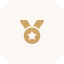 Gold medal with a star design